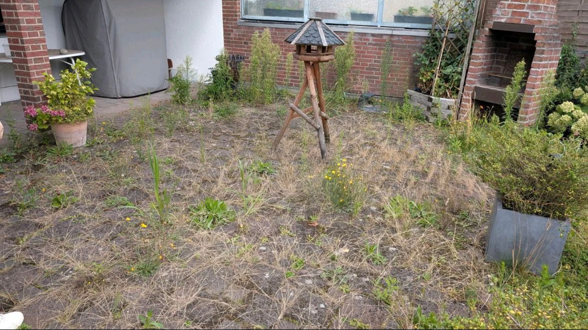 Vorher: Gartenpflege